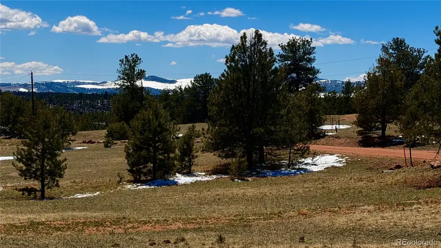 418 Scott Drive, Florissant, CO 80816 - #3