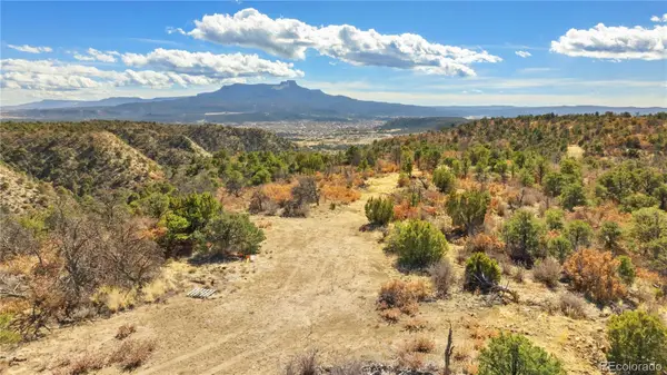 #26 Rancho Verde Road, Trinidad, CO 81082