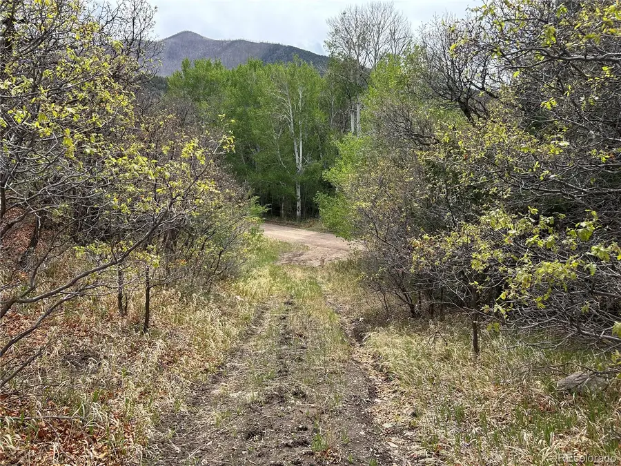 000 Pass Creek Rd, Gardner, CO 81040 - #3