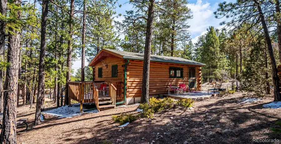 33885 La Plata Lane, Pine, CO 80470 - #2