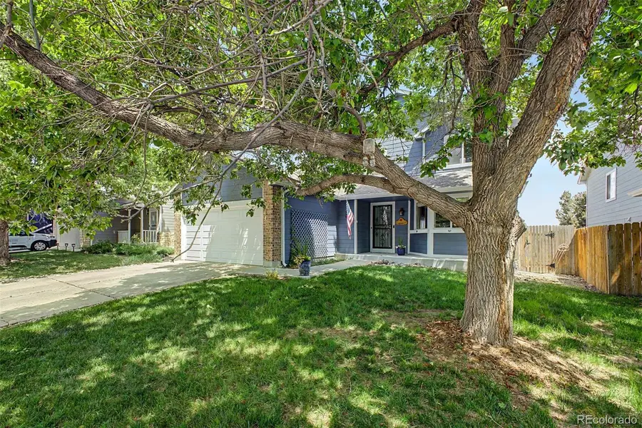 6242 S Robb Way, Littleton, CO 80127 - #3