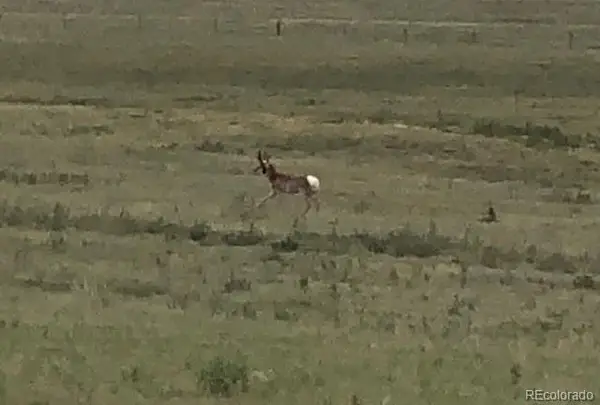 Tbd County Road 2, Atwood, CO 80722