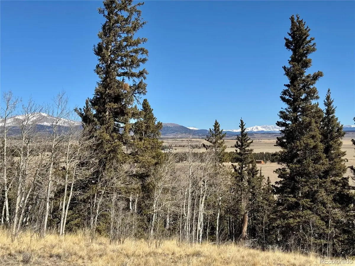 1872 High Creek Road, Fairplay, CO 80440 - #1