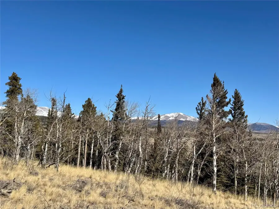 1872 High Creek Road, Fairplay, CO 80440 - #3