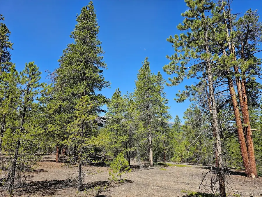 426 Sequoia Drive, Twin Lakes, CO 81251 - #3