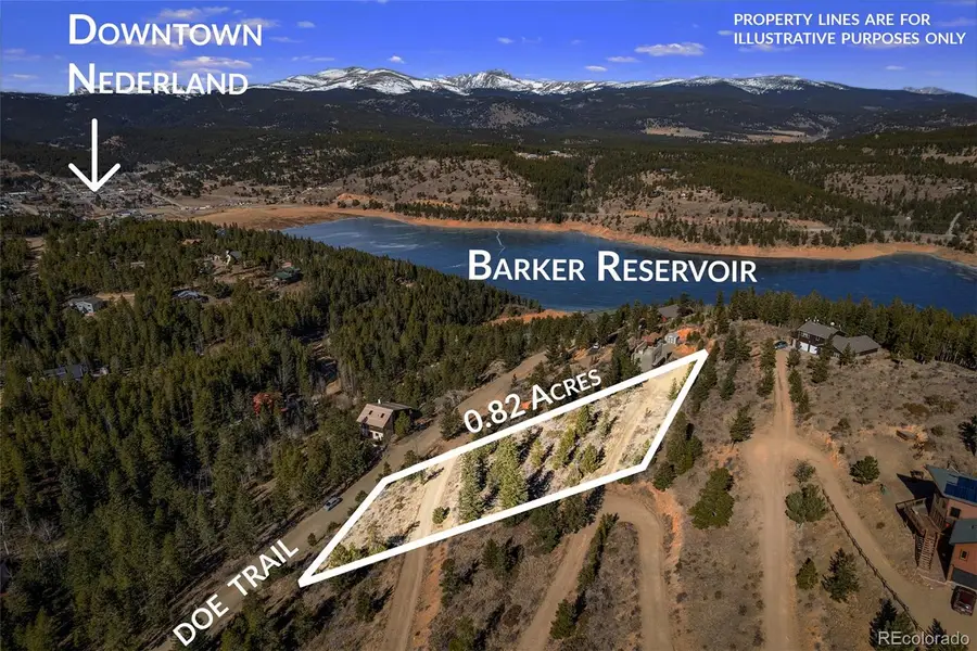 58 Doe Trail, Nederland, CO 80466 - #3