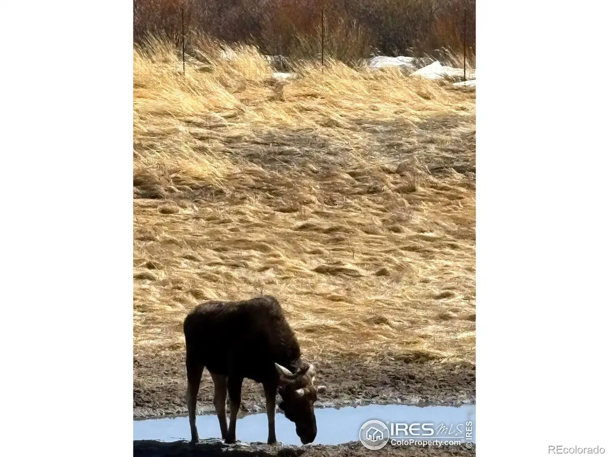 1565 Highway 66 #33, Estes Park, CO 80517 - #1