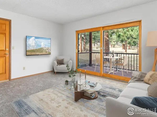 1155 S Saint Vrain Avenue #1-3, Estes Park, CO 80517