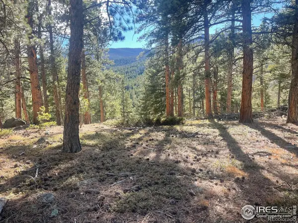 399 N Skinner Road, Allenspark, CO 80510