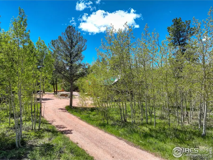 132 Nicola Way, Red Feather Lakes, CO 80545 - Image #3