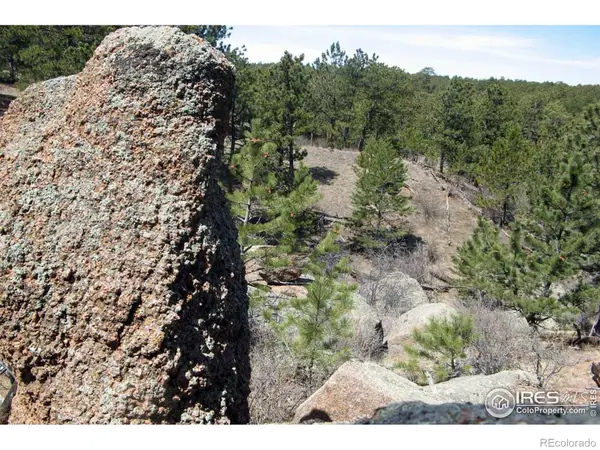 280 Timber Trail, Livermore, CO 80536