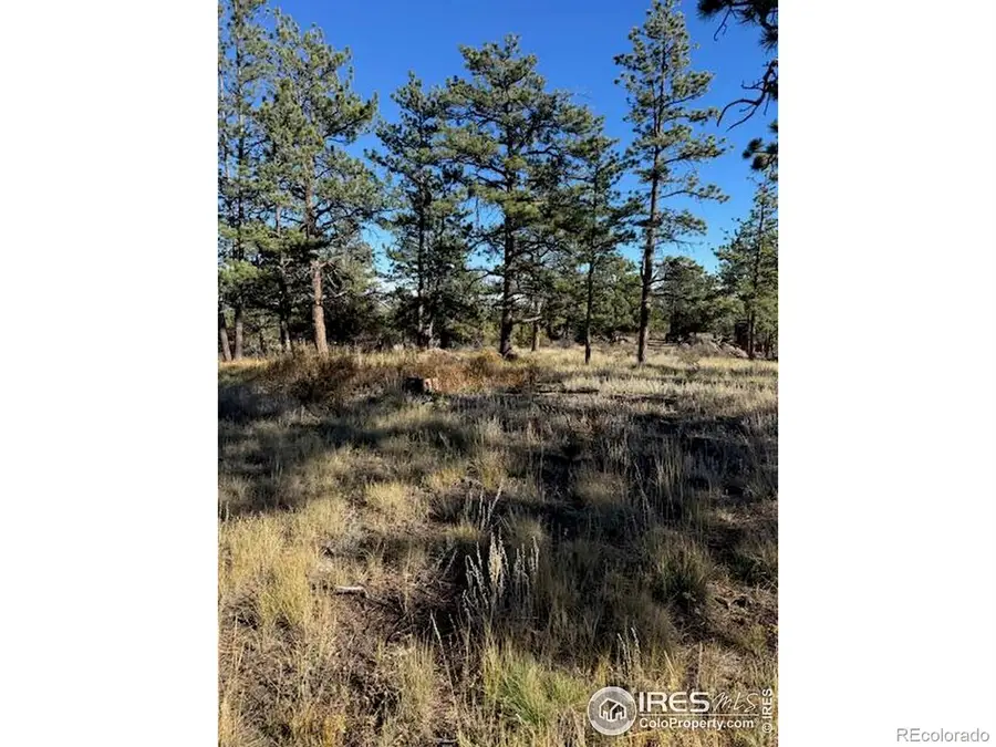 2225 Montcalm Drive, Livermore, CO 80536 - #2