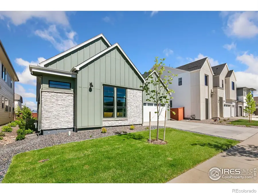 1716 Branching Canopy Drive, Windsor, CO 80550 - Image #3