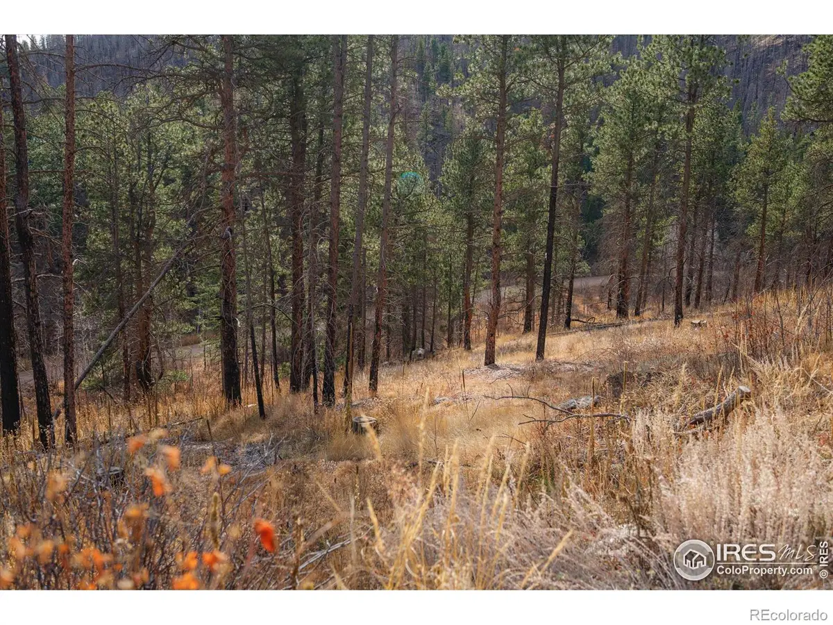 0 Cougar Cir Ct, Bellvue, CO 80512 - Image #1