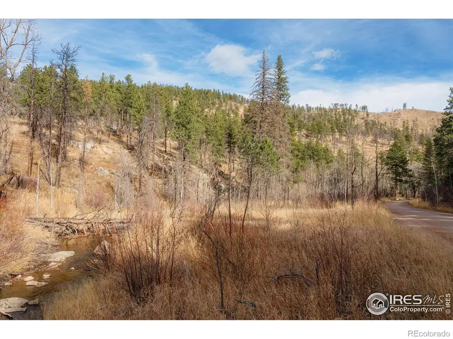 0 Cougar Cir Ct, Bellvue, CO 80512 - Image #2