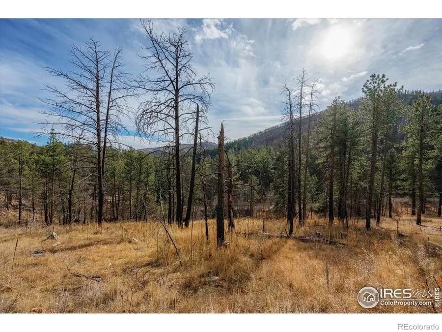 0 Cougar Cir Ct, Bellvue, CO 80512 - Image #3