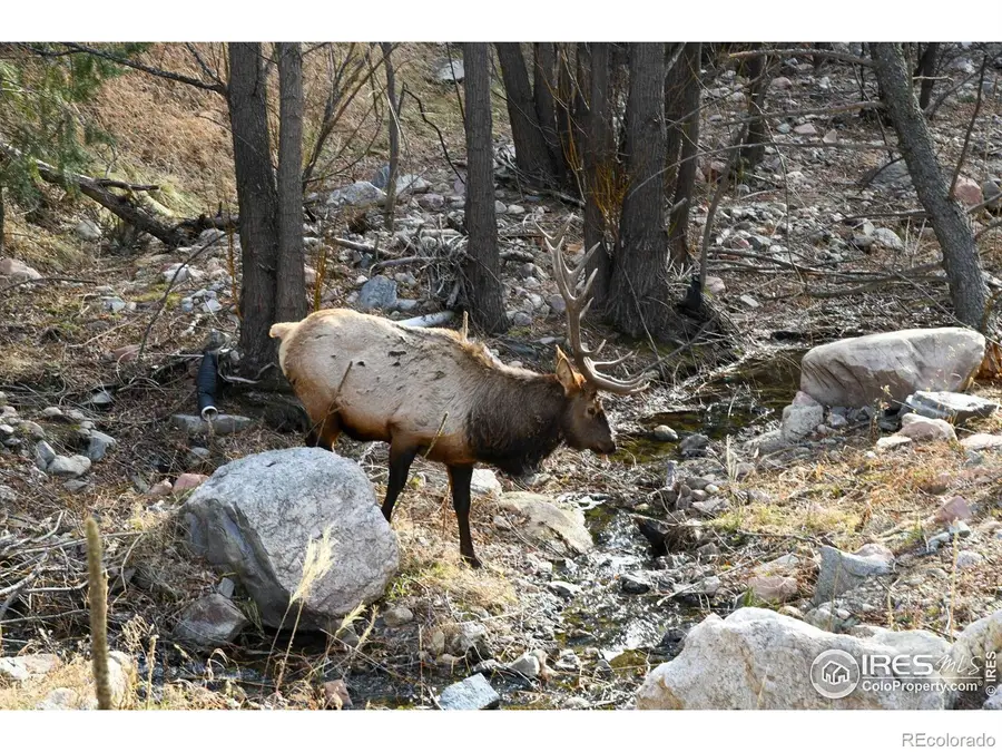 416 Black Creek Drive, Glen Haven, CO 80532 - Image #2