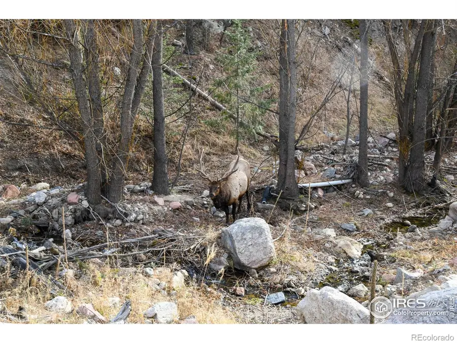 416 Black Creek Drive, Glen Haven, CO 80532 - Image #3