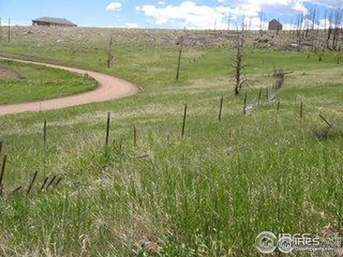 64 Bobcat Mountain Court, Livermore, CO 80536 - Image #1