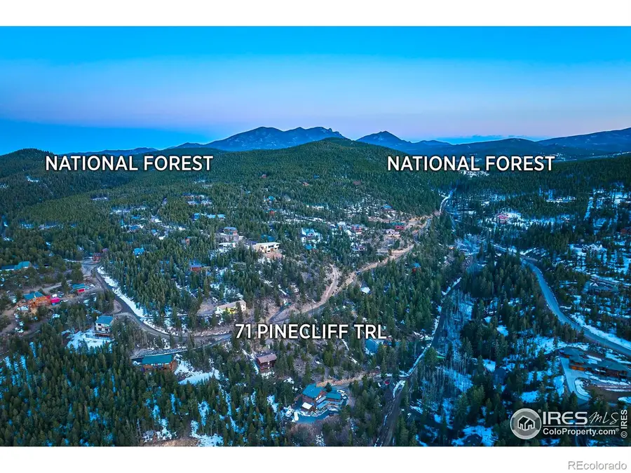 71 Pinecliff Trail, Nederland, CO 80466 - Image #3