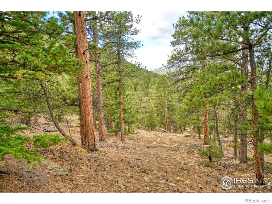 0 Windham Drive, Estes Park, CO 80517 - Image #3