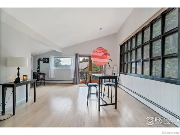 602 W 3rd Street, Nederland, CO 80466