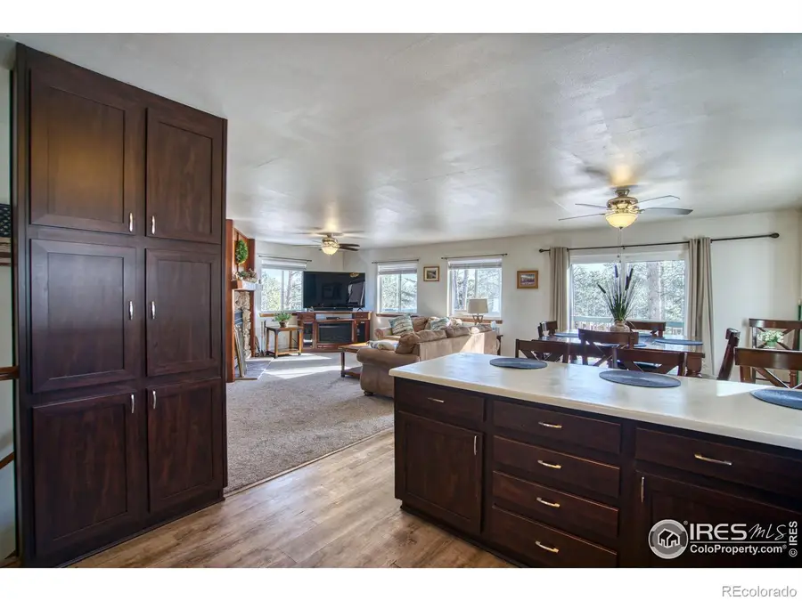 231 Snake Lake Drive, Red Feather Lakes, CO 80545 - Image #3
