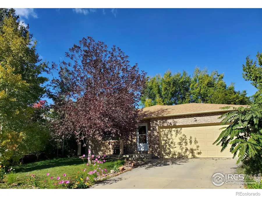 60 Lodgepole Drive, Windsor, CO 80550 - #2