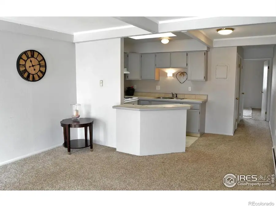 804 Stone Mountain Drive #204, Windsor, CO 80550 - Image #2