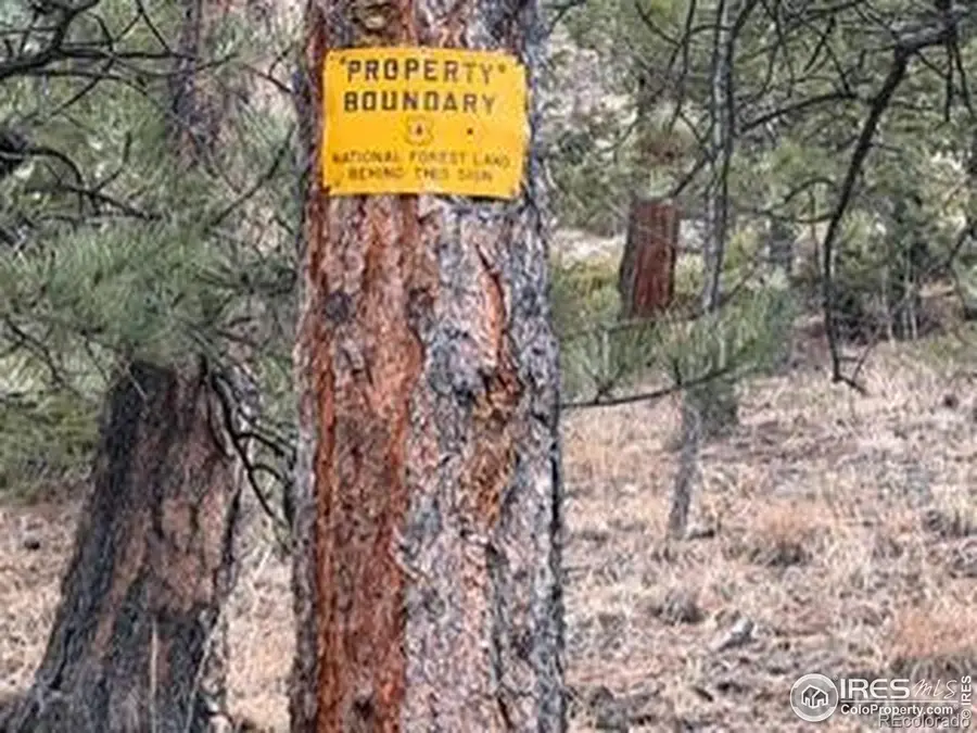 7294 County Road 43, Glen Haven, CO 80532 - #2
