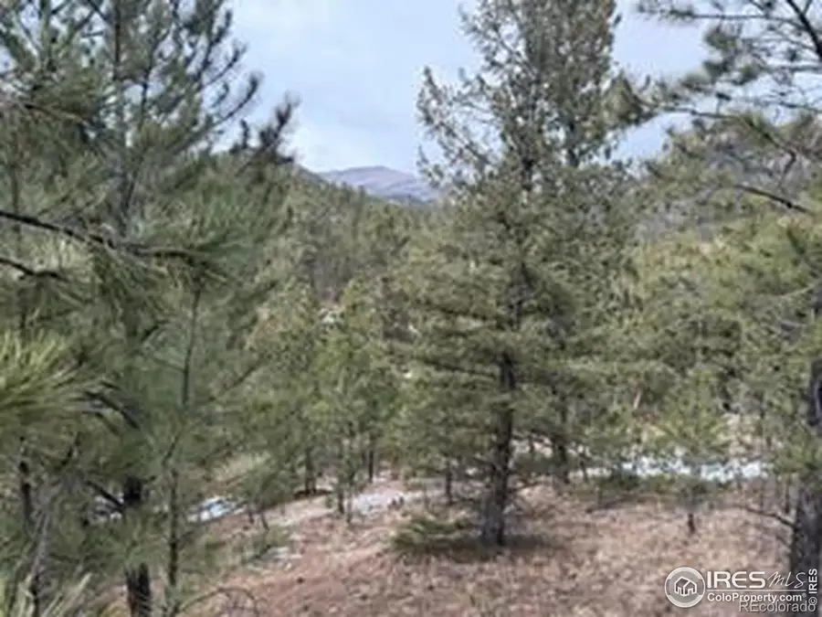 7294 County Road 43, Glen Haven, CO 80532 - #3