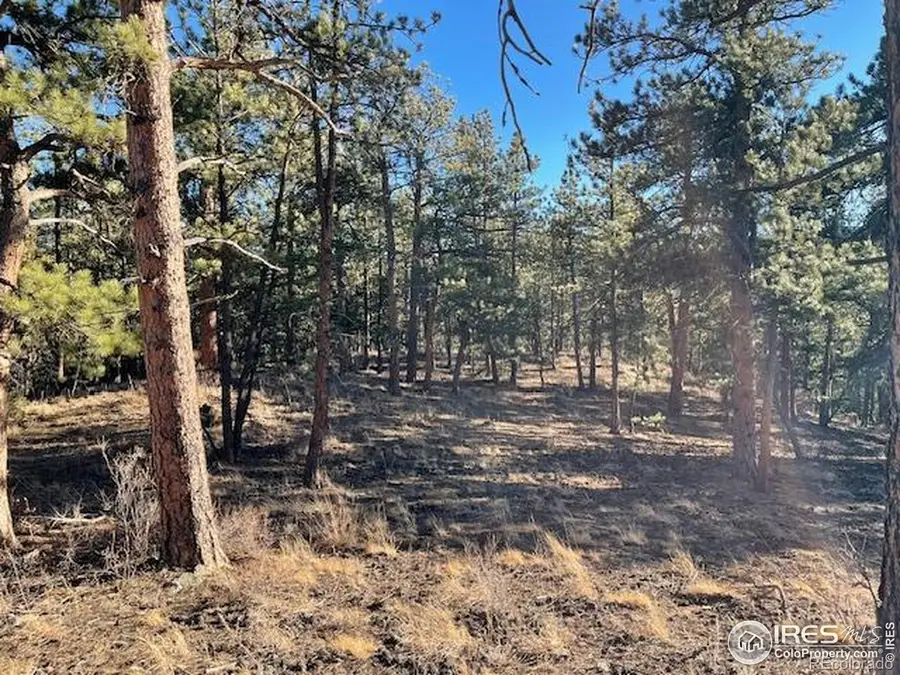 0 Pine Drive, Lyons, CO 80540 - #3