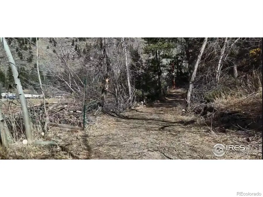 14 Sly Fox Road, Drake, CO 80515 - #3