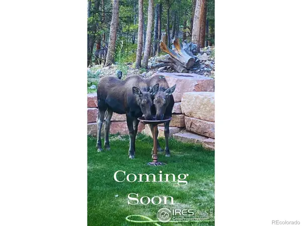 1447 Coyote Circle, Black Hawk, CO 80422