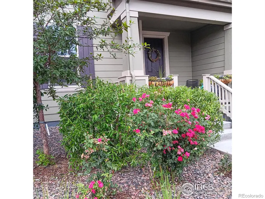 1154 Anker Drive, Erie, CO 80516 - #3