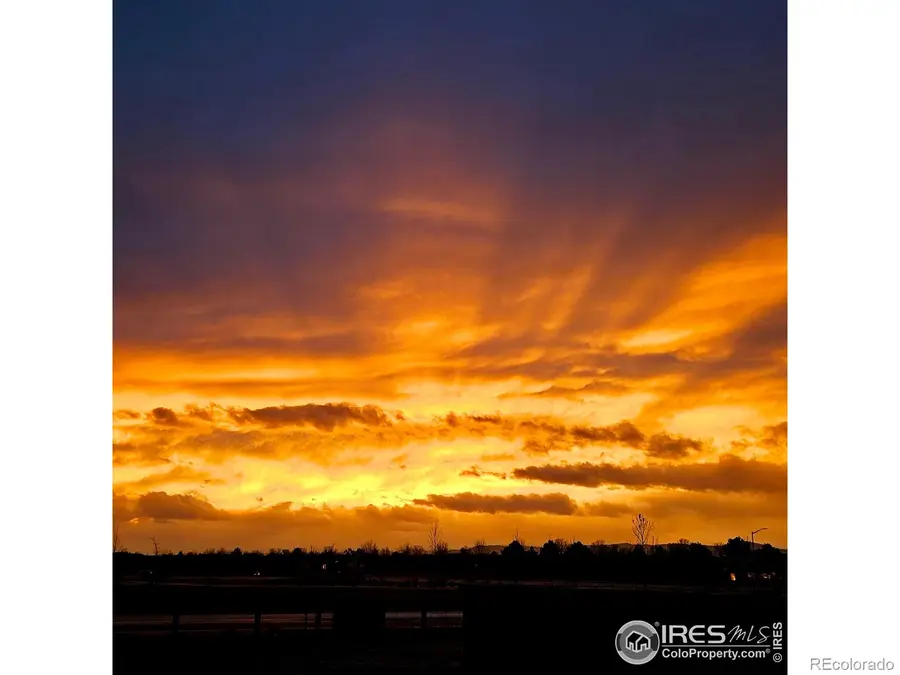 1813 Garden Flourish Court, Windsor, CO 80550 - #3