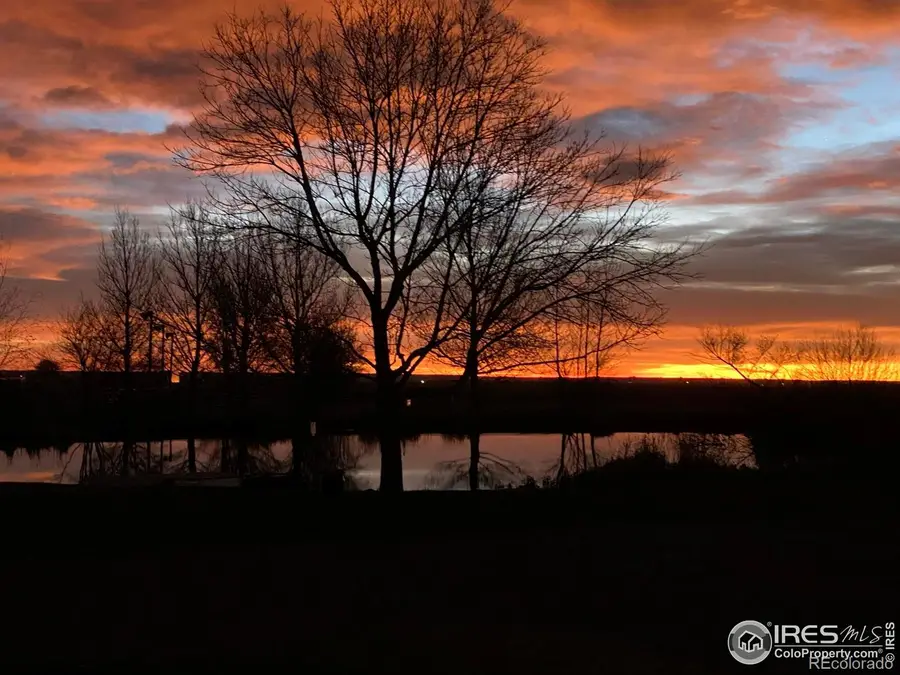 612 W County Road 74, Wellington, CO 80549 - #3