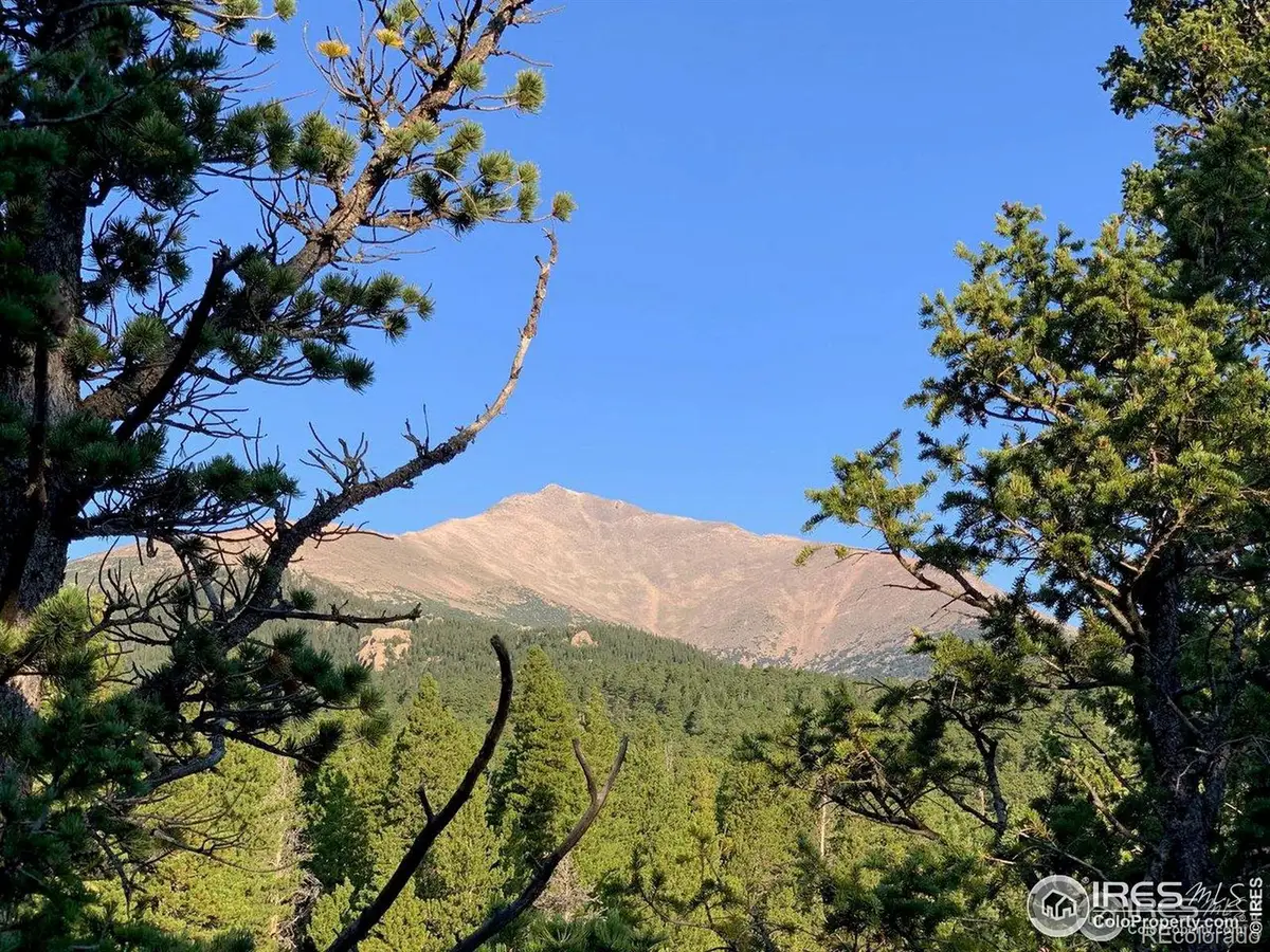 12190 State Highway 7, Allenspark, CO 80510 - #1