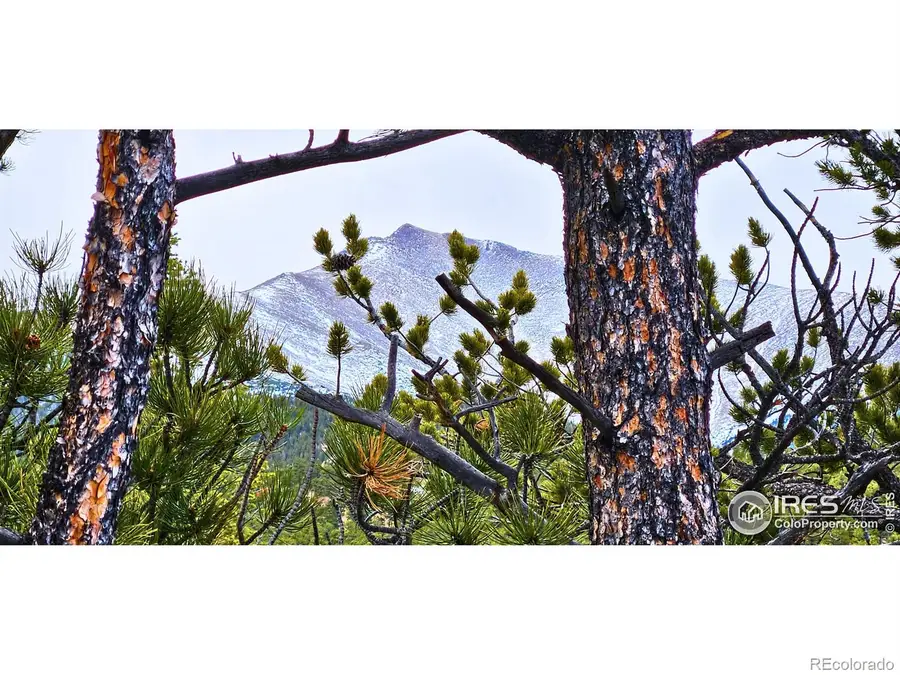 12190 State Highway 7, Allenspark, CO 80510 - #2