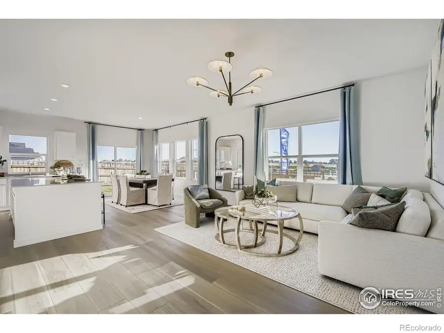 6169 Bream Place, Loveland, CO 80538 - #2