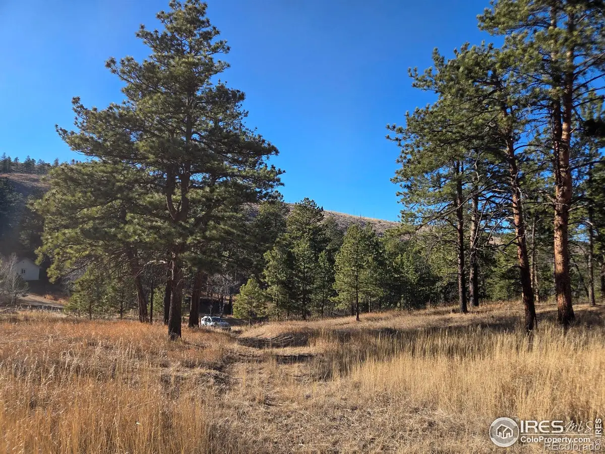 620 Davis Ranch Road, Bellvue, CO 80512 - #1