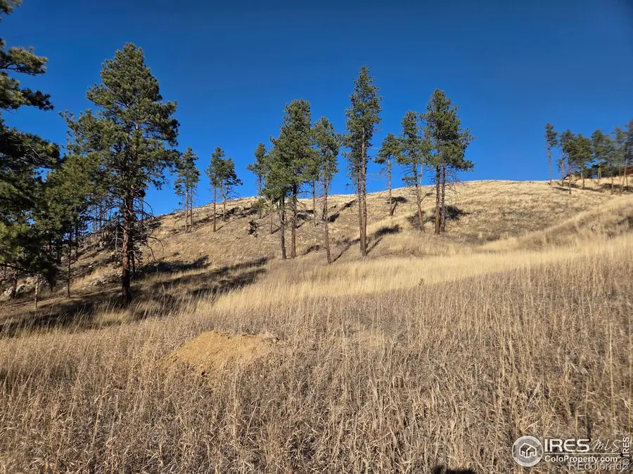 620 Davis Ranch Road, Bellvue, CO 80512 - #3