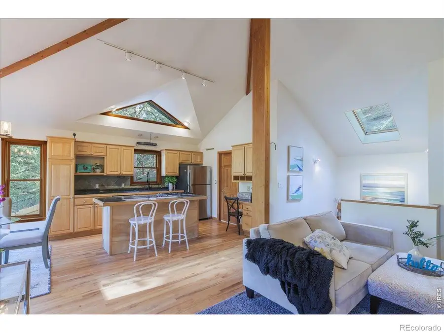 101 Spruce Street, Jamestown, CO 80455 - #3