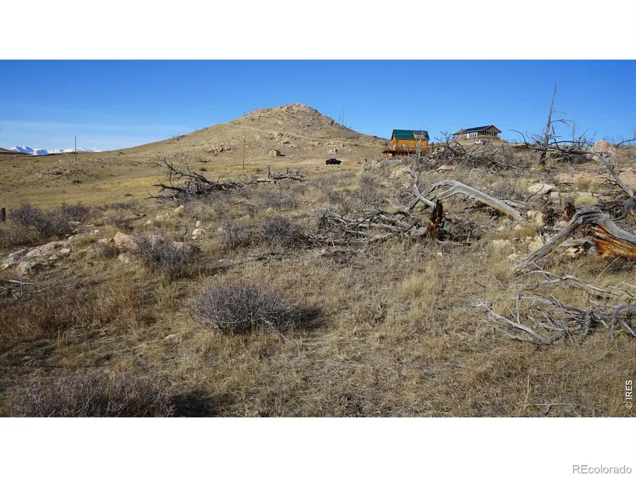 654 Horse Mountain Drive, Livermore, CO 80536 - #2