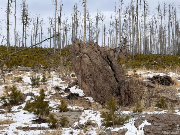 28 Agate Court, Bellvue, CO 80512