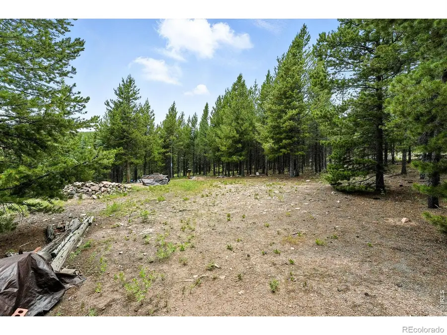 754 Mescalero Drive, Red Feather Lakes, CO 80545 - #3