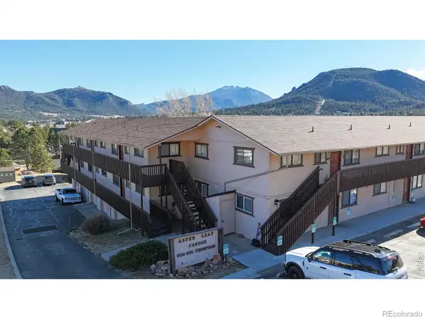 950 Big Thompson Avenue #1142, Estes Park, CO 80517