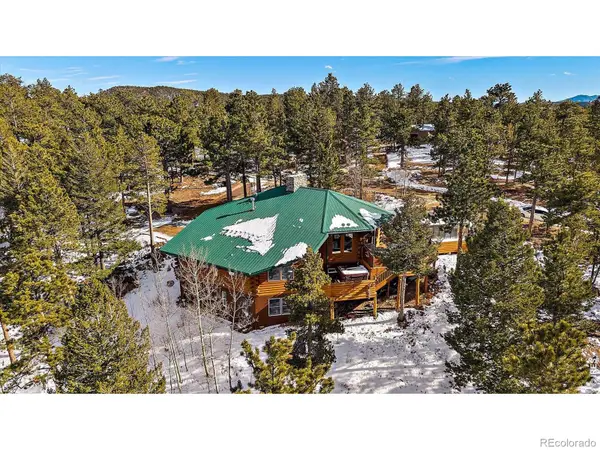 143 Crockett Trail, Ward, CO 80481