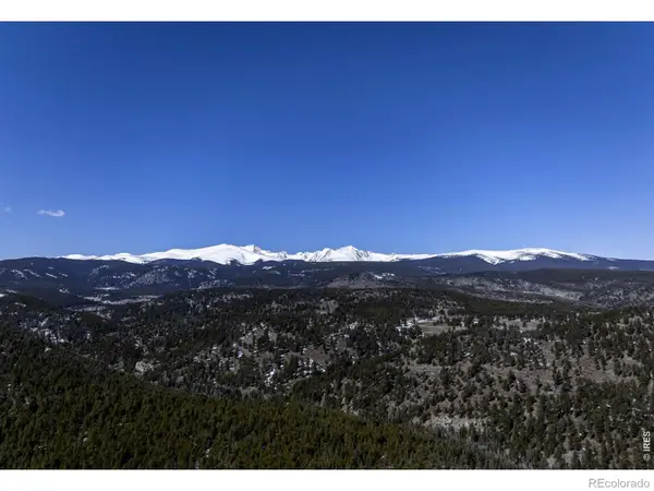 3153 Ridge Road, Nederland, CO 80466