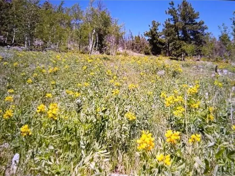 215 Murdock Drive, Red Feather Lakes, CO 80545 - #2